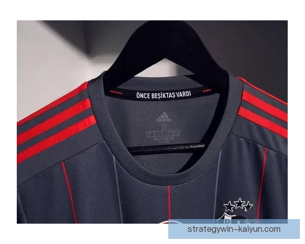 贝西克塔斯攻防平衡助力球队表现亮眼，未来赛季备受期待。